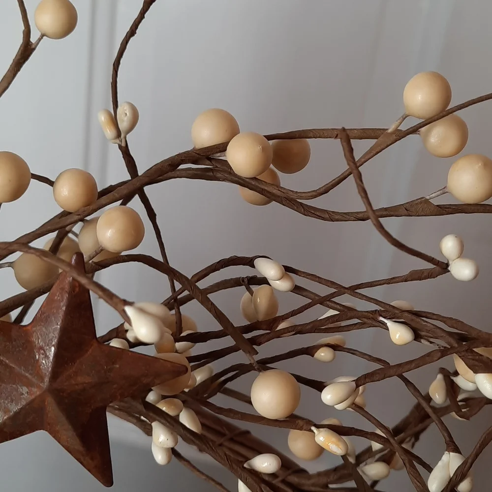 Wreath Rust Metal Star Stars Seed Berry Urban Farmhouse Cream Wall Door